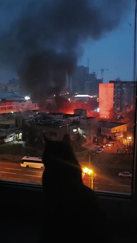 Чингис Дамбиев: Киевский кот ведет визуальный контроль последствий ракетно-дронового удара ВС РФ по объекту противника в Киеве