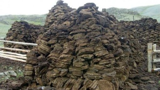 Из кизяков и палок, а теперь и травы. Реквием по индустриальной Украине