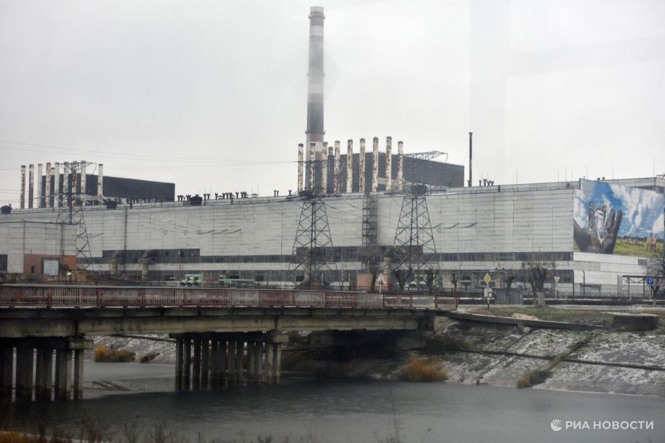 В Чернобыле обнаружили новую форму жизни