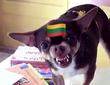 Литва возвращает срочную службу — в 2026 году будут призваны около 5 тысяч человек, сообщает Минобороны страны