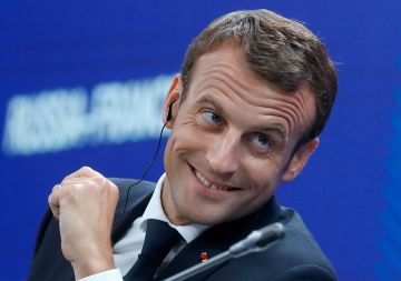 Макрона и Мерца обозвали «садовыми гномами» и «безголовыми утками»