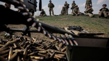 «Сопротивляются политике режима»: в Раде рассказали о массовом бегстве украинских солдат с передовой