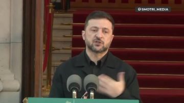 Если сегодняшние переговоры [Уиткоффа и Кушнера с Путиным] пройдут хорошо, то я готов встретиться с Трампом очень быстро — Зеленский