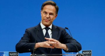 Единогласие по вступлению Украины в НАТО пока не выработано – Рютте