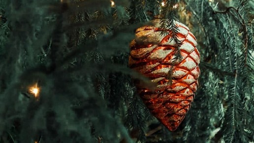 В Мариуполе началась подготовка к Новому году. Главные новости к этому часу