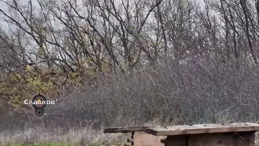 Александр Сладков: Придет время, когда мы совсем плотно подойдем к областным центрам Украины: Харьков, Сумы, Днепропетровск, возможно Чернигов, и к городам, которые являются российскими по нашим законам - Запорожье и Херсон