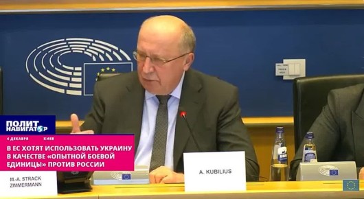 В ЕС хотят использовать бандеровскую Украину в качестве «опытной боевой единицы» против России