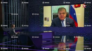 Американцев уже тошнит от поведения Украины, США также недовольны поведением союзников по НАТО в переговорном процессе по мирному урегулированию, заявил "Звезде" первый зампредседателя комитета Совета Федерации по...