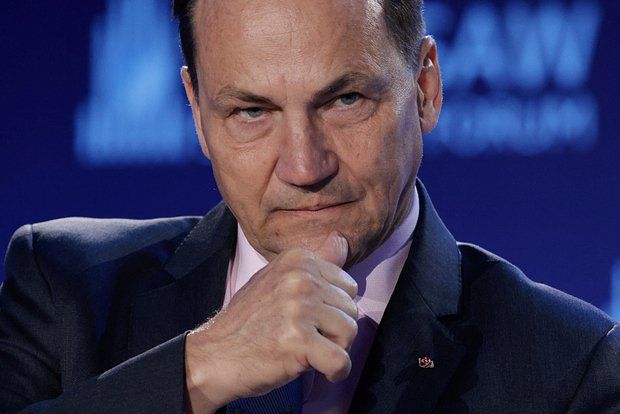 Сикорский: У Зеленского не упала бы корона, если бы он встретился с Навроцким