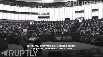    :    ,   . ,    ,    ,      