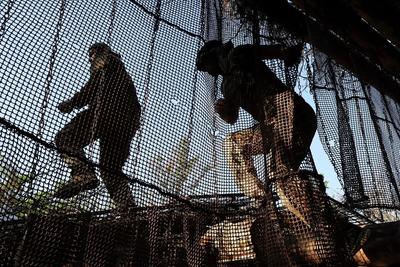 Украинский пленный рассказал, почему не хочет воевать с Россией