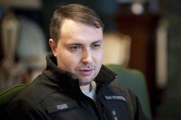 Буданов описал переговоры с РФ в Абу-Даби фразой «там все чудесно»