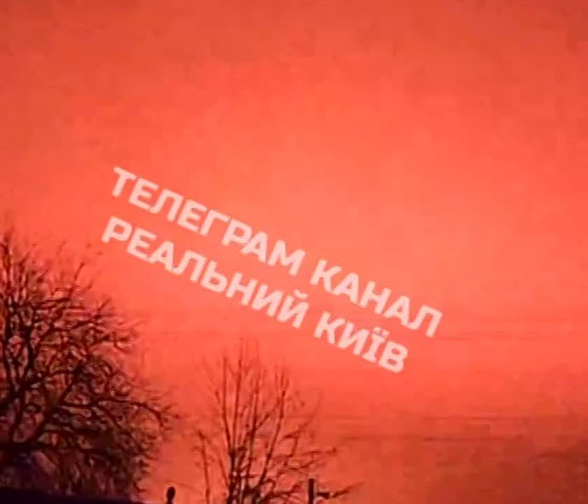 В Фастове продолжается налёт "Гераней"