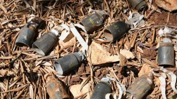 Наступил на "колокольчик": пожилой житель Купянского района получил минно-взрывную травму — Ганчев