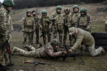 ТАСС: ВСУ «удерживают» Волчанск в интернете