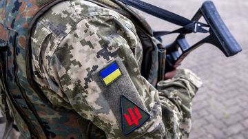 Депутат Рады Костенко назвал ситуацию с поставками оружия Украине критической