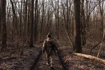 Военный Дандыкин: Дезертирство в рядах ВСУ пока не приняло массовый характер