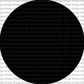 Прилеты Гераней были снова в Фастове Киевской области