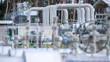 В Германии хотят попросить Путина снова поставлять газ