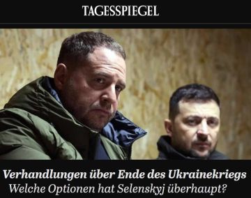 У Зеленского нет выбора: он должен вести переговоры сейчас, пишет Der Tagesspiegel