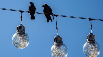 Под Киевом местные жители перекрыли дорогу из-за отключения света