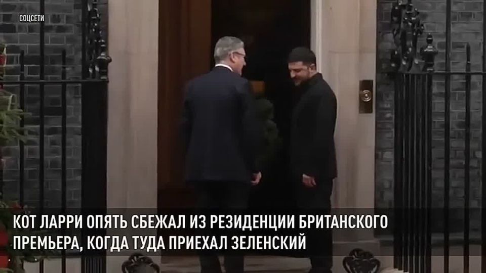 ������ �������: ����� ����� ����� ��������