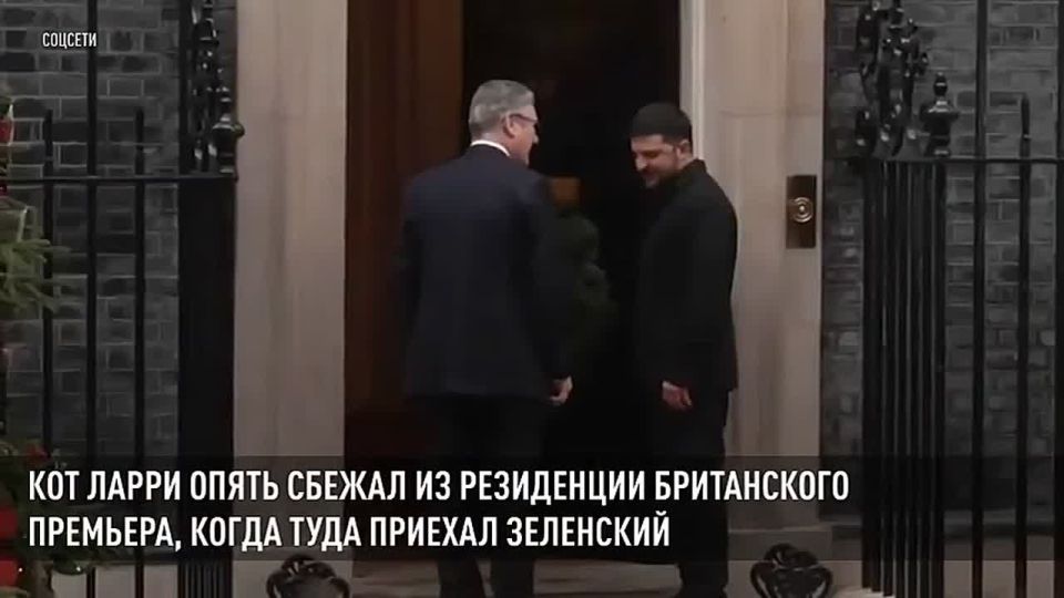 ������ �������: ��������� ������� �������-����� ����� ����������� � ���������� ��������� ���������