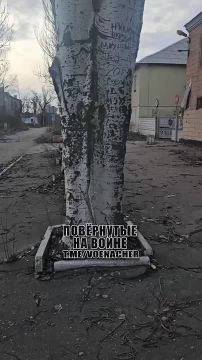 Наши бойцы заглянули в логово людоловов в Красноармейске