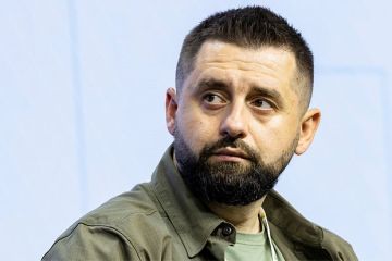 «УП»: Координатором революции на Украине был глава партии Зеленского Арахамия