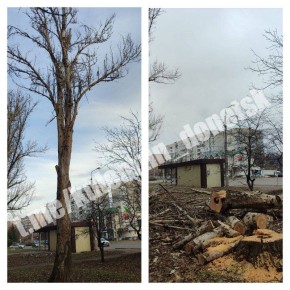 Алексей Кулемзин: Сегодня сотрудники коммунального предприятия «Зелёное строительство» убрали и вывезли опавшую листву, ветки, также выполнили валку и распил деревьев