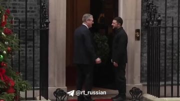 «Кот с Даунинг-стрит был не в восторге от тусовки!»