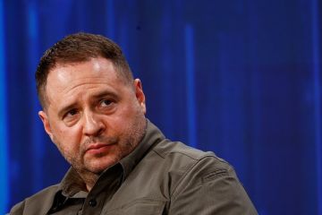 РИА Новости: Супруга соратника Ермака зарегистрировала в США ювелирный бизнес