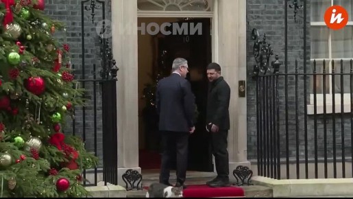 Упоротый Зеленский напугал кота