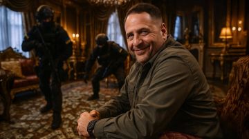 "После увольнения Ермака ничего не происходит": Нардеп Безуглая объявила забастовку. Цель единственная