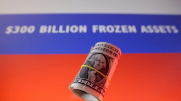 «Полная ложь»: в Японии высказались об использовании российских замороженных активов