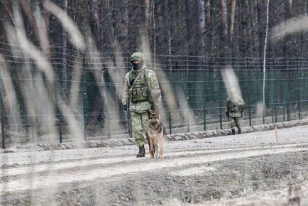 Депутат Швыткин: Белоруссия предпринимает меры из-за агрессивности ВСУ