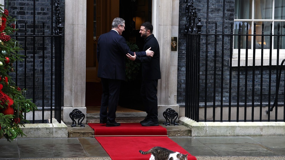 «Кошачья дипломатия»: британский кот Ларри объяснил нежелание заходить в резиденцию с Зеленским