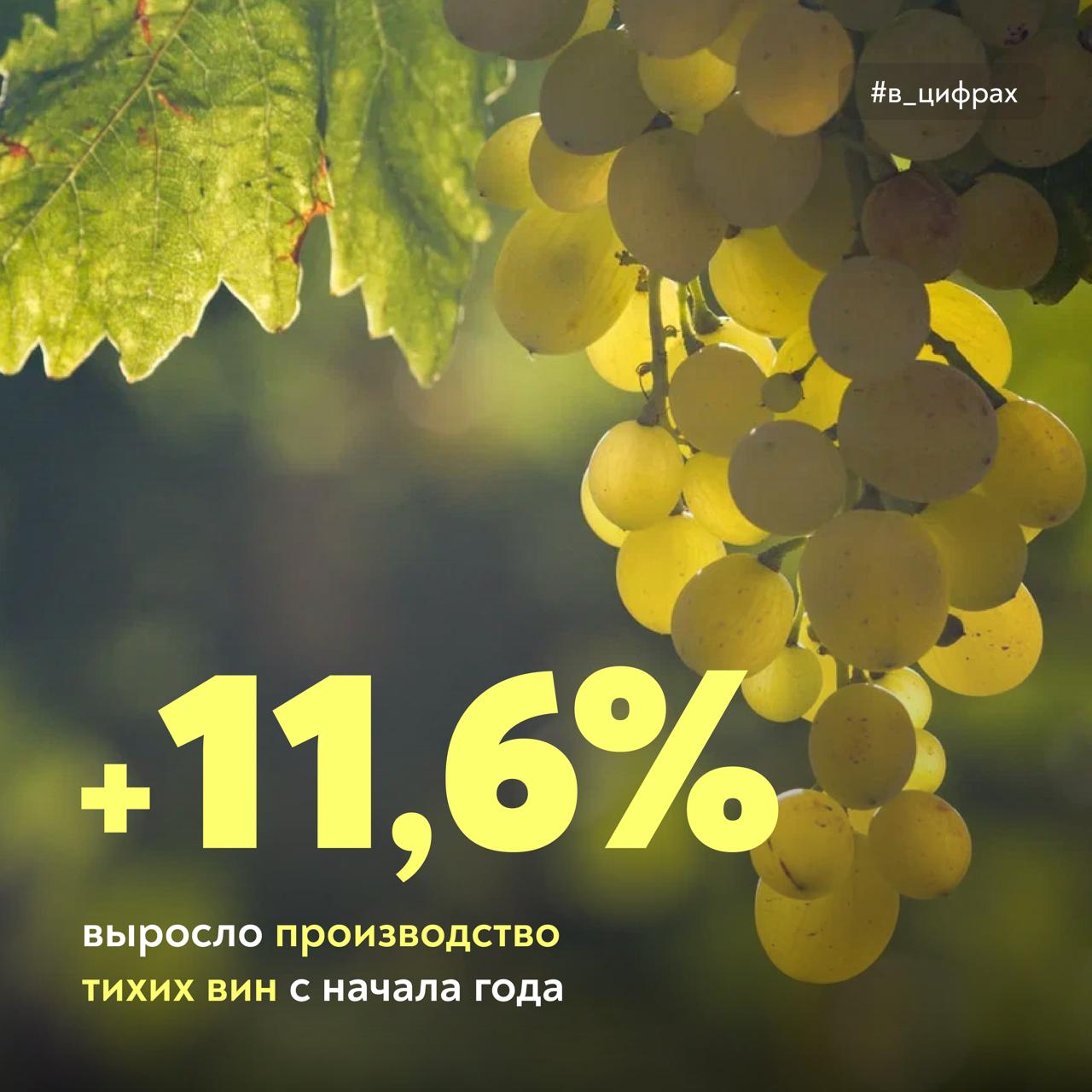 Российская винодельческая отрасль продолжает развиваться