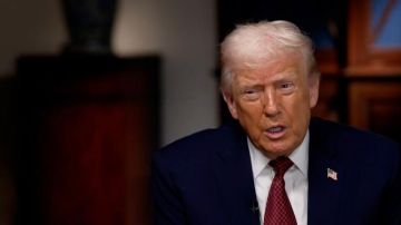 "Зеленский победит": Трамп призвал срочно провести выборы на Украине