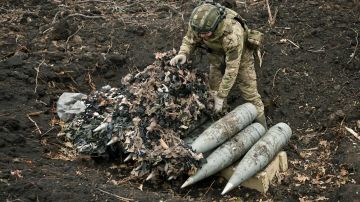 "Продавили ВСУ в лесопосадках": полковник Алехин о наступлении на Великобурлукском участке фронта