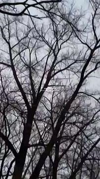 Мирное население Украины проводит видеосопровождение пролетающей мимо Гераньки, спешащей по своим делам