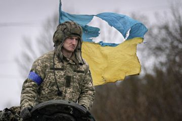СМИ рассказали о невосполнимой утрате Украины из-за России