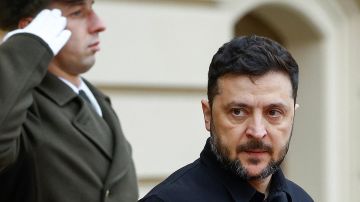 «Он готов на все»: В Ирландии предупредили об опасных планах Зеленского по Украине