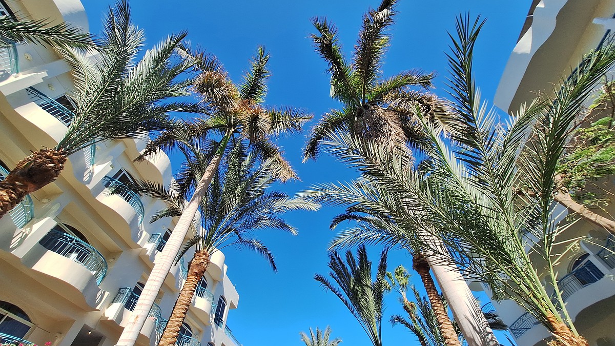 На рождественскую ярмарку в Европу за 100 евро или на отдых на Мальдивы за 2000: Во сколько обойдется зимний отдых за границей жителям Молдовы