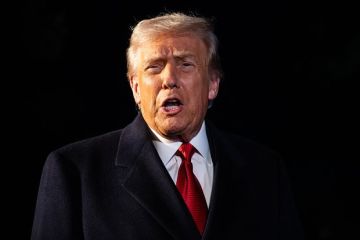 CNN: В Европе испугались, что Трамп обвинит ее и Киев в препятствовании миру