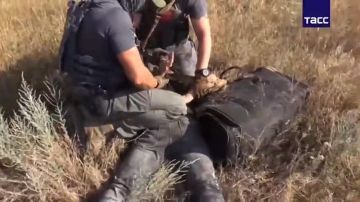 В столичном регионе пресечена деятельность группы лиц во главе с украинцем, легализовавшей в России более 53 000 мигрантов