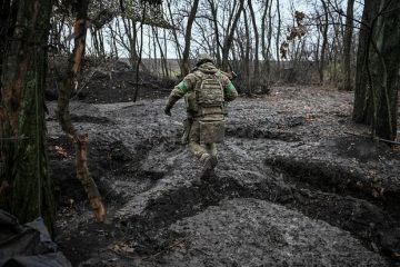 NYT: Украина откажется от части территорий при наличии гарантий безопасности