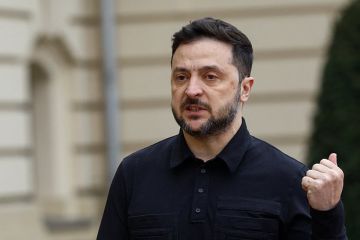 Депутат Рады Дмитрук: У Зеленского нет никаких шансов победить на выборах