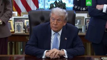   ,         ,      ,  CNN    