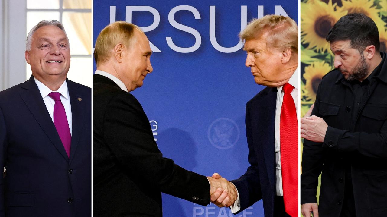 Стратег Зеленского: Доктрину Трампа как будто писали у Орбана